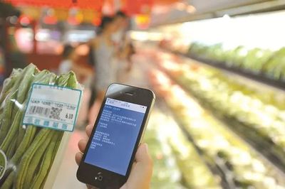 数字赋能，守护“舌尖安全”——无锡食品安全监管与网络食品新业态高质量发展之路