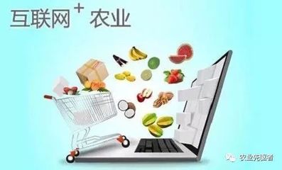 休闲农业13种创意新模式 当田园邂逅互联网美食